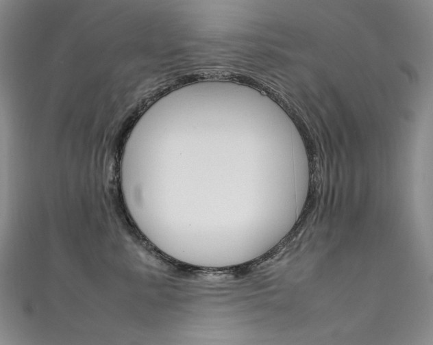 X0000111660619200907171121