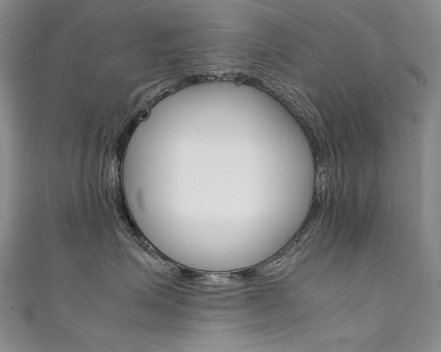 X0000111660623200907171121