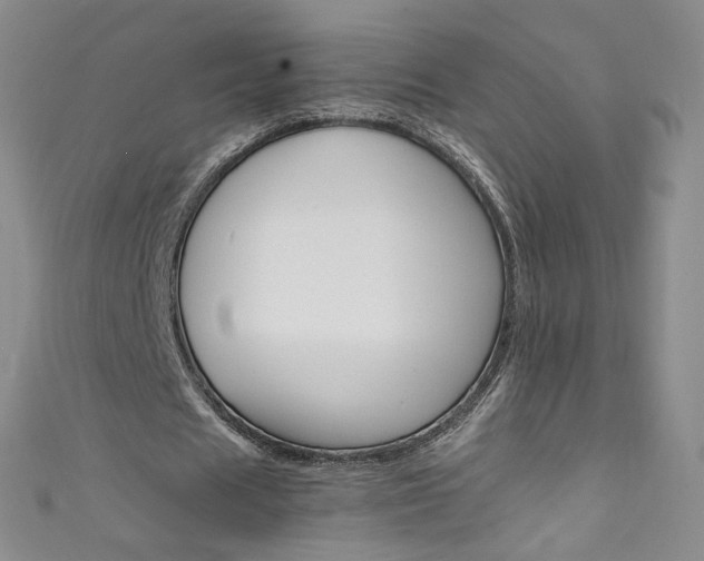 X0000111660625200907171120