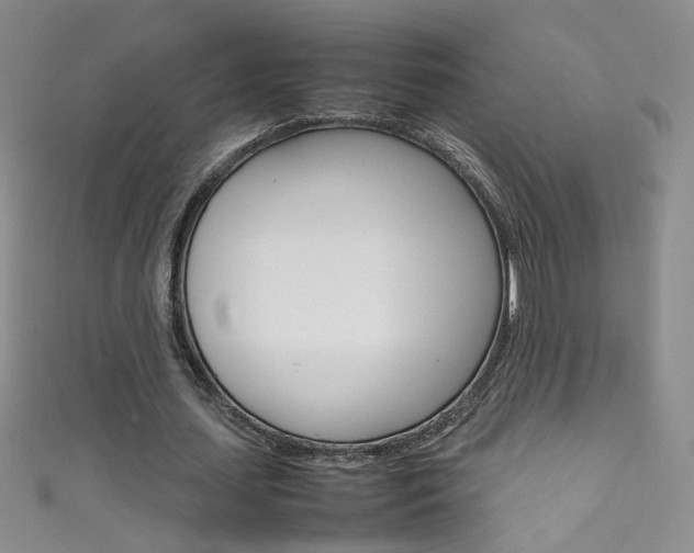 X0000111660627200907171120