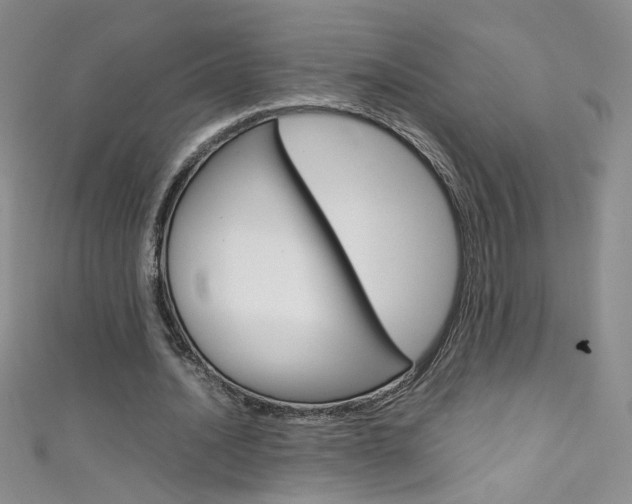 X0000111660628200907171120