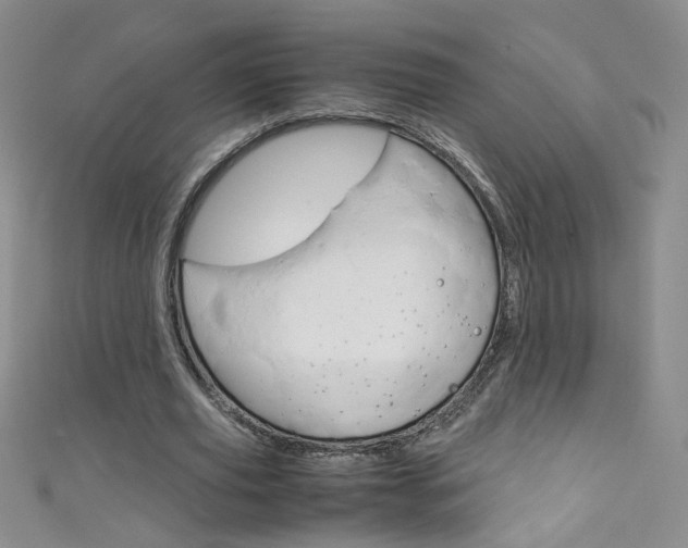 X0000111660629200907171120