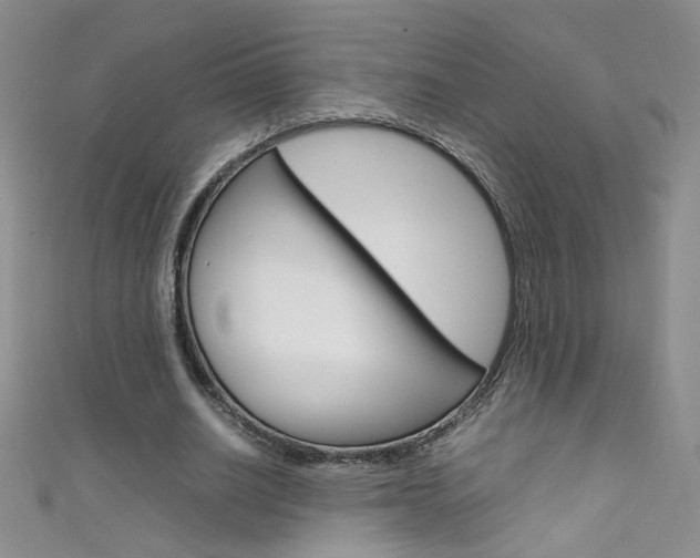 X0000111660630200907171120