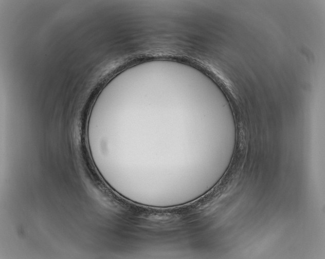 X0000111660631200907171120