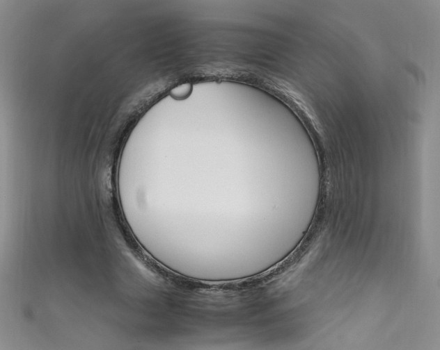 X0000111660633200907171120