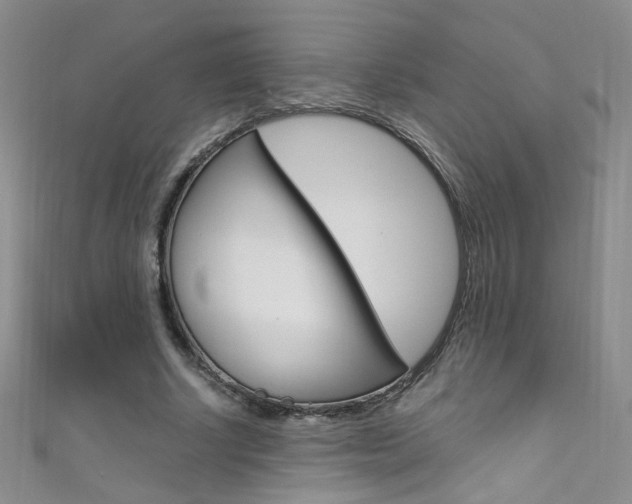 X0000111660634200907171120