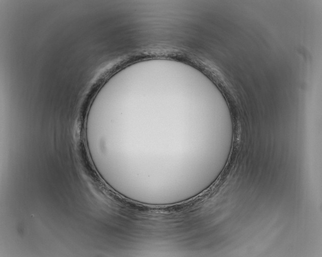 X0000111660636200907171120