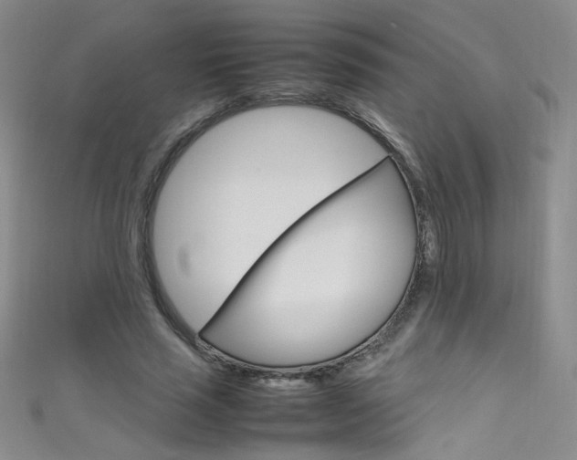 X0000111660637200907171120