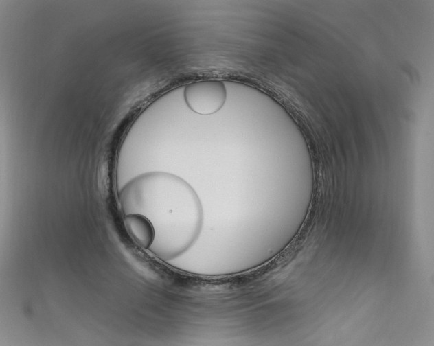 X0000111660638200907171120
