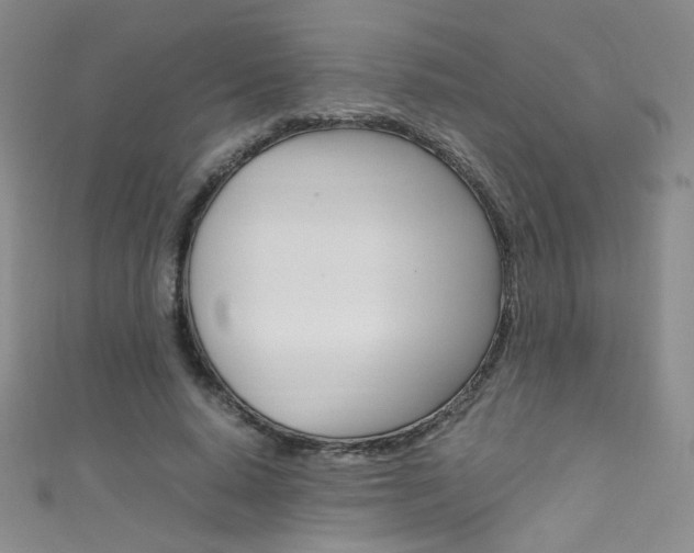 X0000111660640200907171120