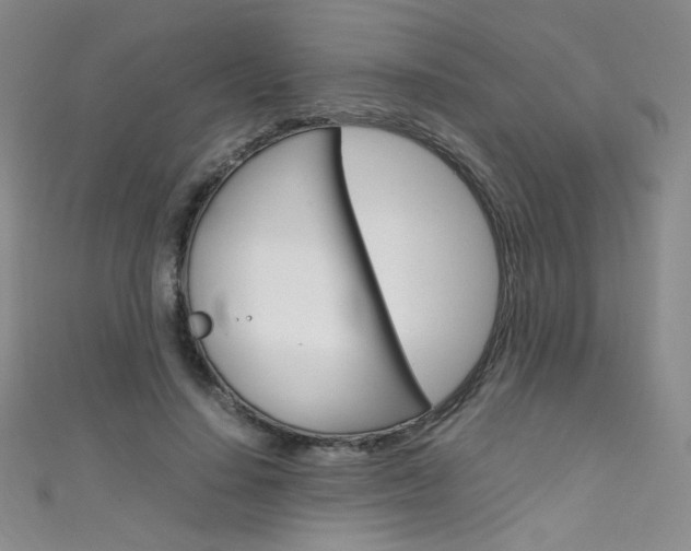 X0000111660644200907171120