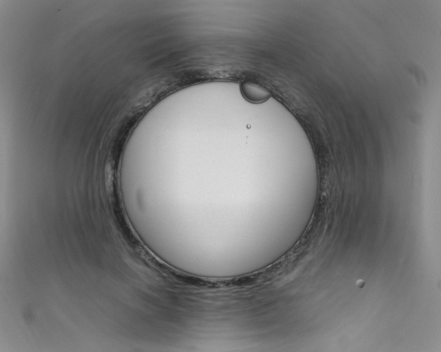 X0000111660646200907171120