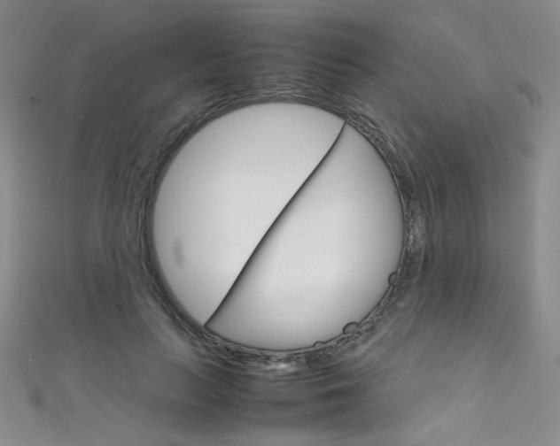 X0000111660647200907171120