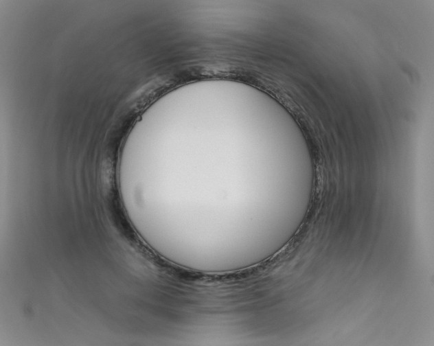 X0000111660648200907171120