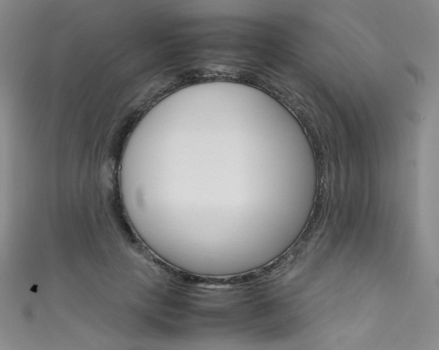 X0000111660649200907171120