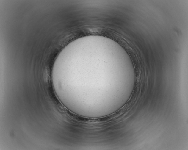 X0000111660651200907171120