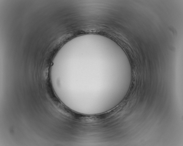 X0000111660652200907171120