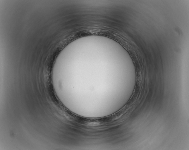 X0000111660653200907171120