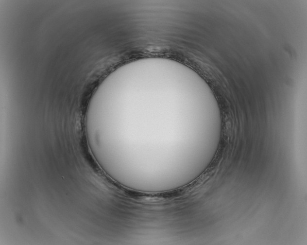 X0000111660654200907171120