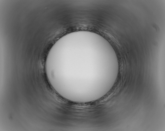 X0000111660661200907171121