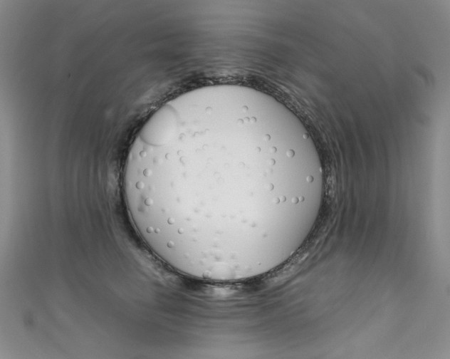 X0000111660662200907171121
