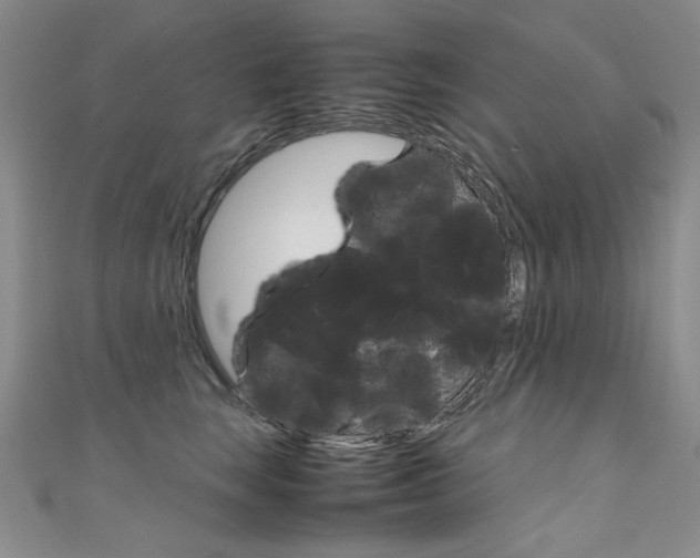 X0000111660663200907171121