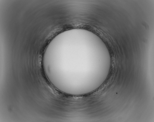 X0000111660664200907171121