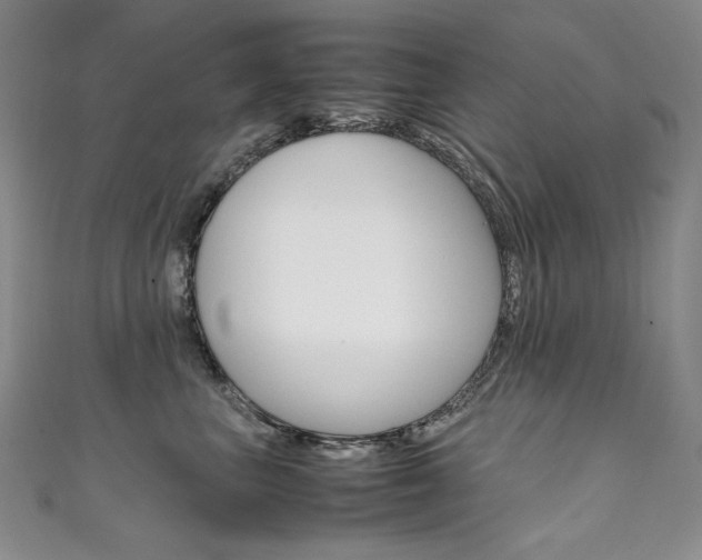 X0000111660667200907171121