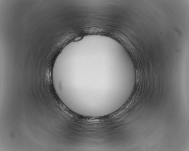 X0000111660669200907171121