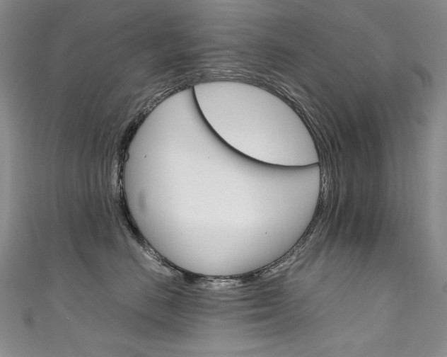 X0000111660670200907171121
