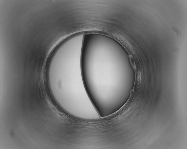 X0000111660676200907171120