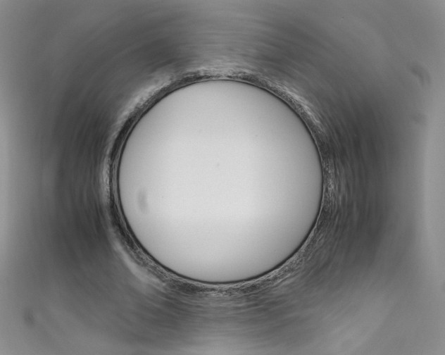 X0000111660678200907171120