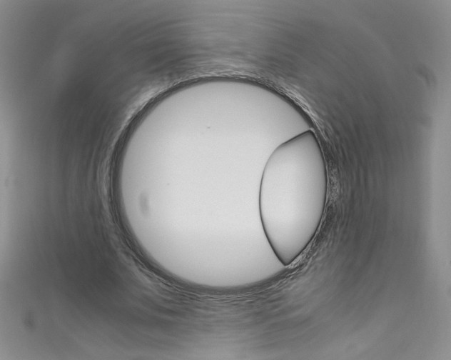 X0000111660679200907171120