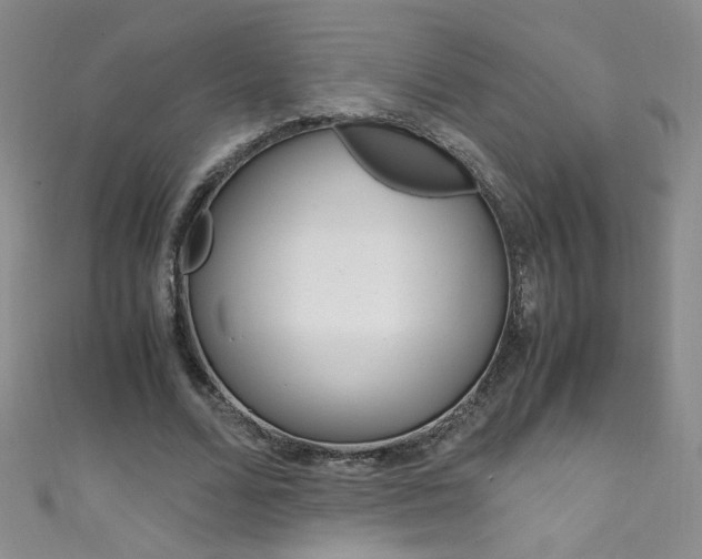X0000111660680200907171120