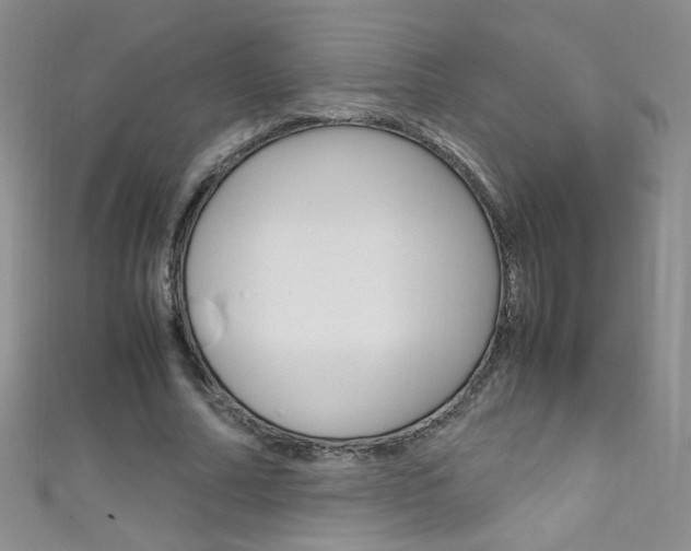 X0000111660682200907171120