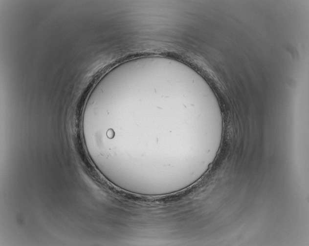 X0000111660683200907171120