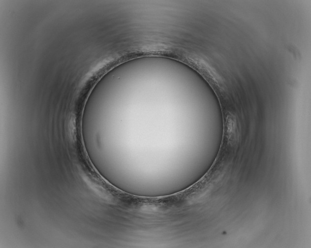 X0000111660684200907171120
