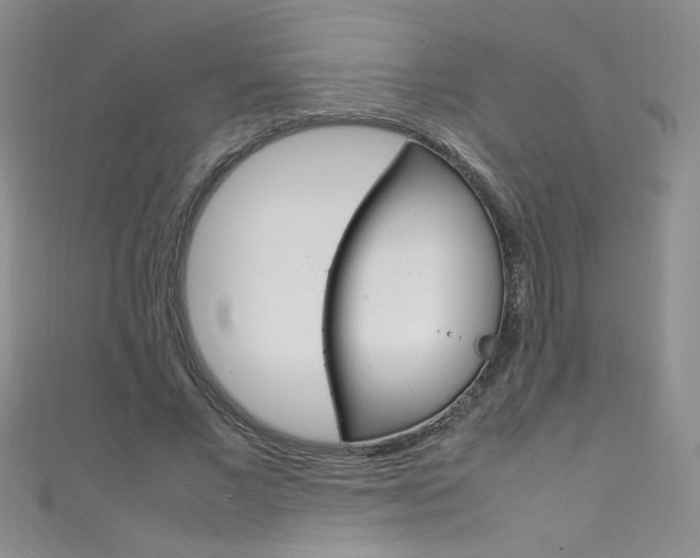 X0000111660685200907171120
