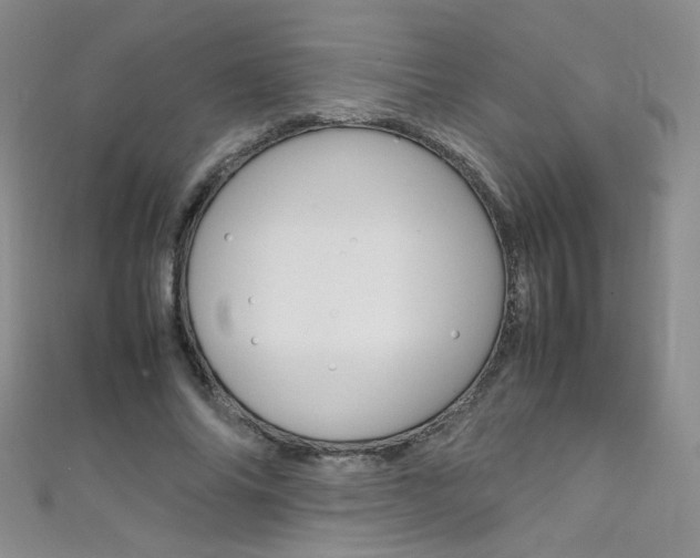 X0000111660686200907171120