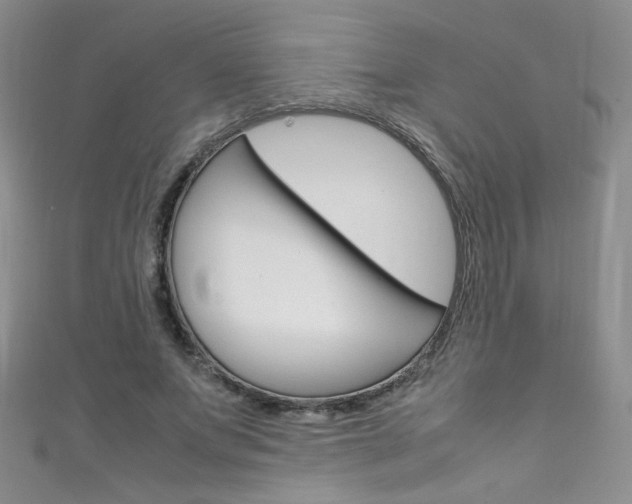 X0000111660687200907171120