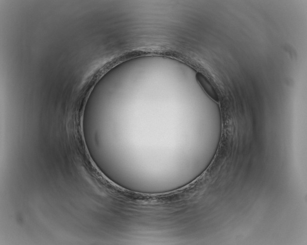 X0000111660688200907171120