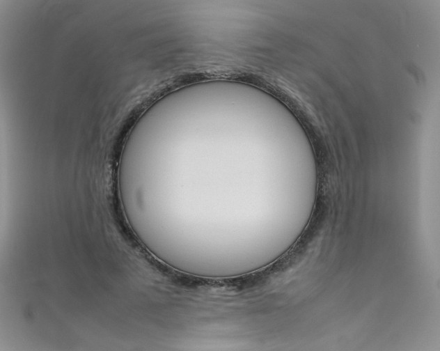 X0000111660689200907171120