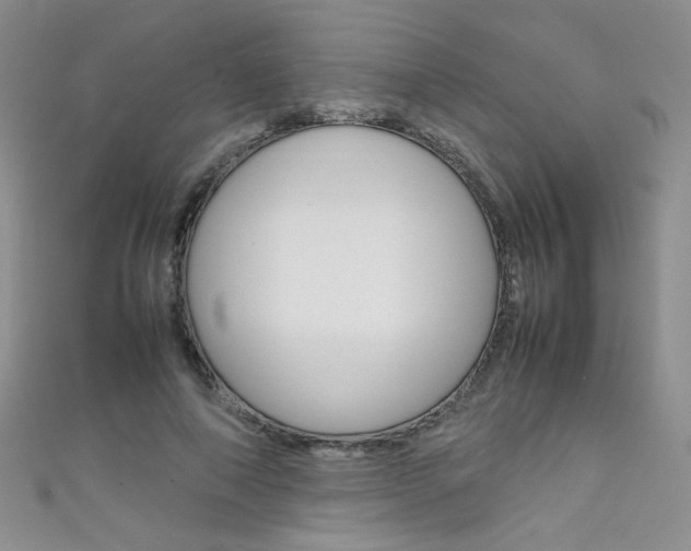 X0000111660690200907171120