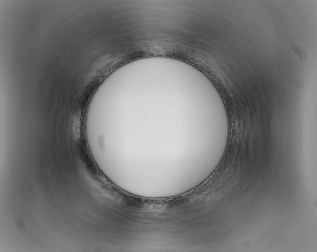 X0000111660694200907171120