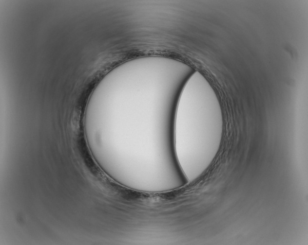 X0000111660695200907171120