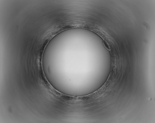 X0000111660696200907171120