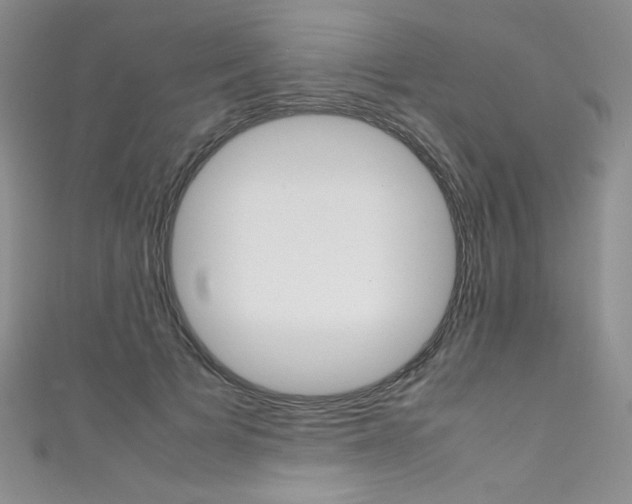 X0000111660697200907171120