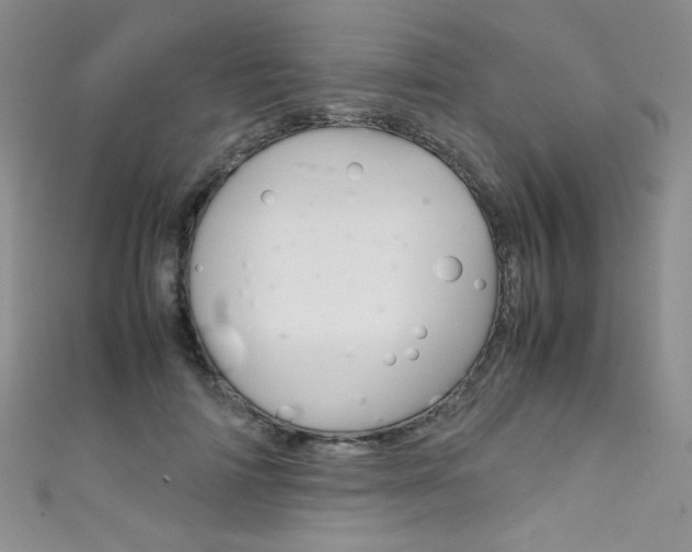 X0000111660698200907171120
