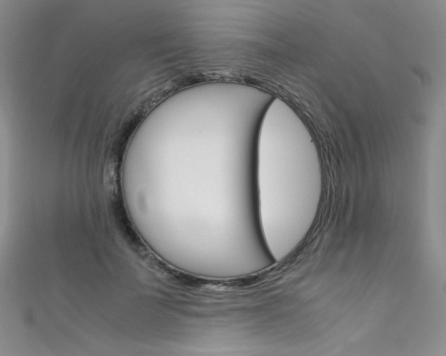 X0000111660699200907171120