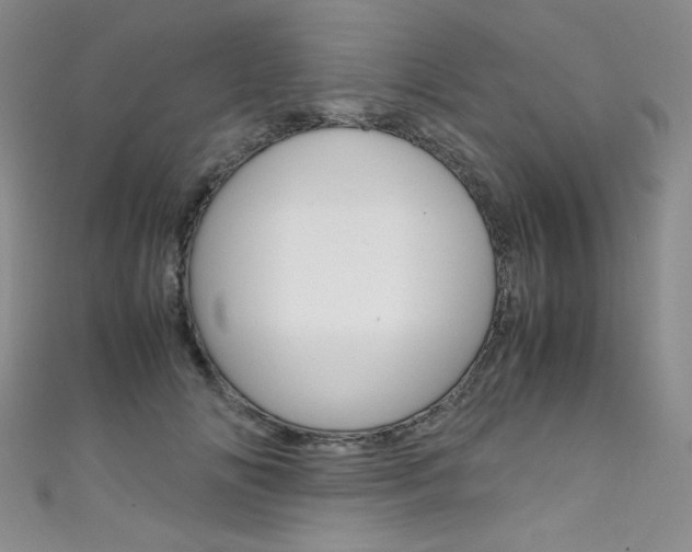 X0000111660702200907171119